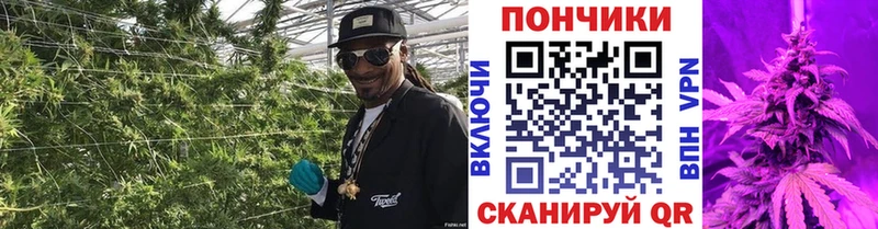 Марихуана марихуана  Купить где  Домодедово 